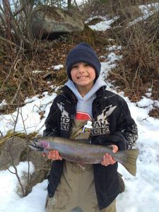 Rainbow Trout out of the Brule river